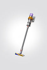 שואב אבק דגם V15 DETECT ABSOLUTE