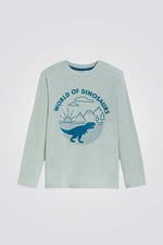 טישירט לילדים עם שרוולים ארוכים