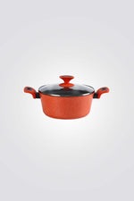 סיר 24 ס"מ SPRING