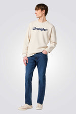 ג'ינס REGULAR בצבע כחול כהה