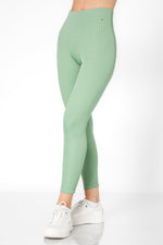 CHAMPION - טייץ LEGACY-LEGGINGS בצבע ירוק - MASHBIR//365