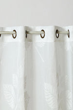 HOMESTYLE - וילון שארלוט 140X250 - MASHBIR//365