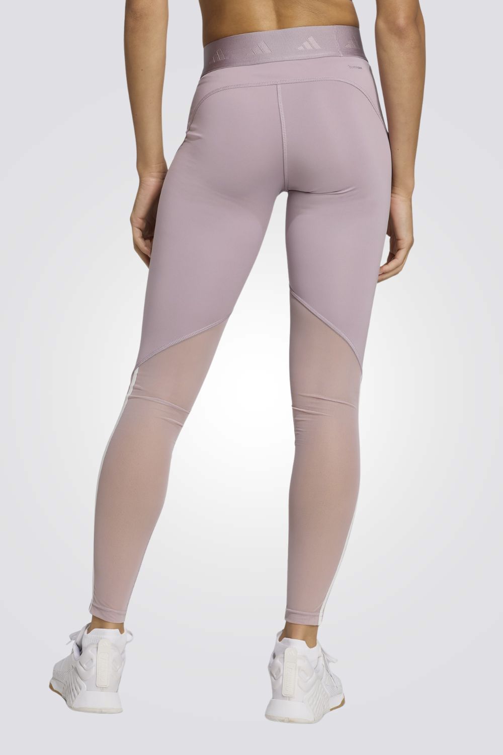 טייץ ספורט לנשים