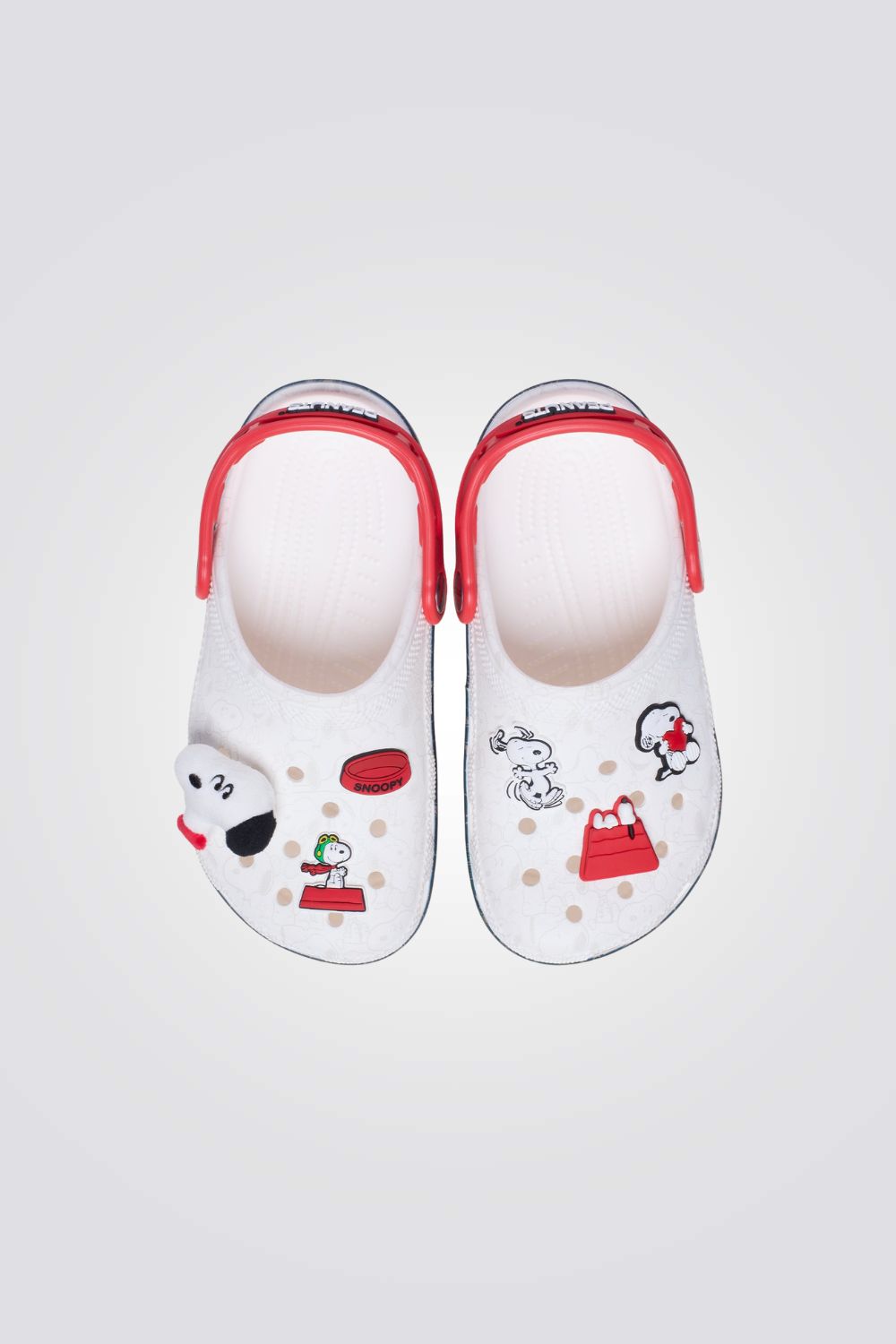 כפכפי קלאסיק פינתס לילדים במידות קטנות Peanuts Classic Clog T | קרוקס