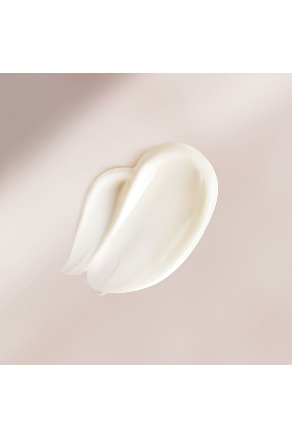 קרם יום משקם 50 מ"ל 365 | לנקסטר 