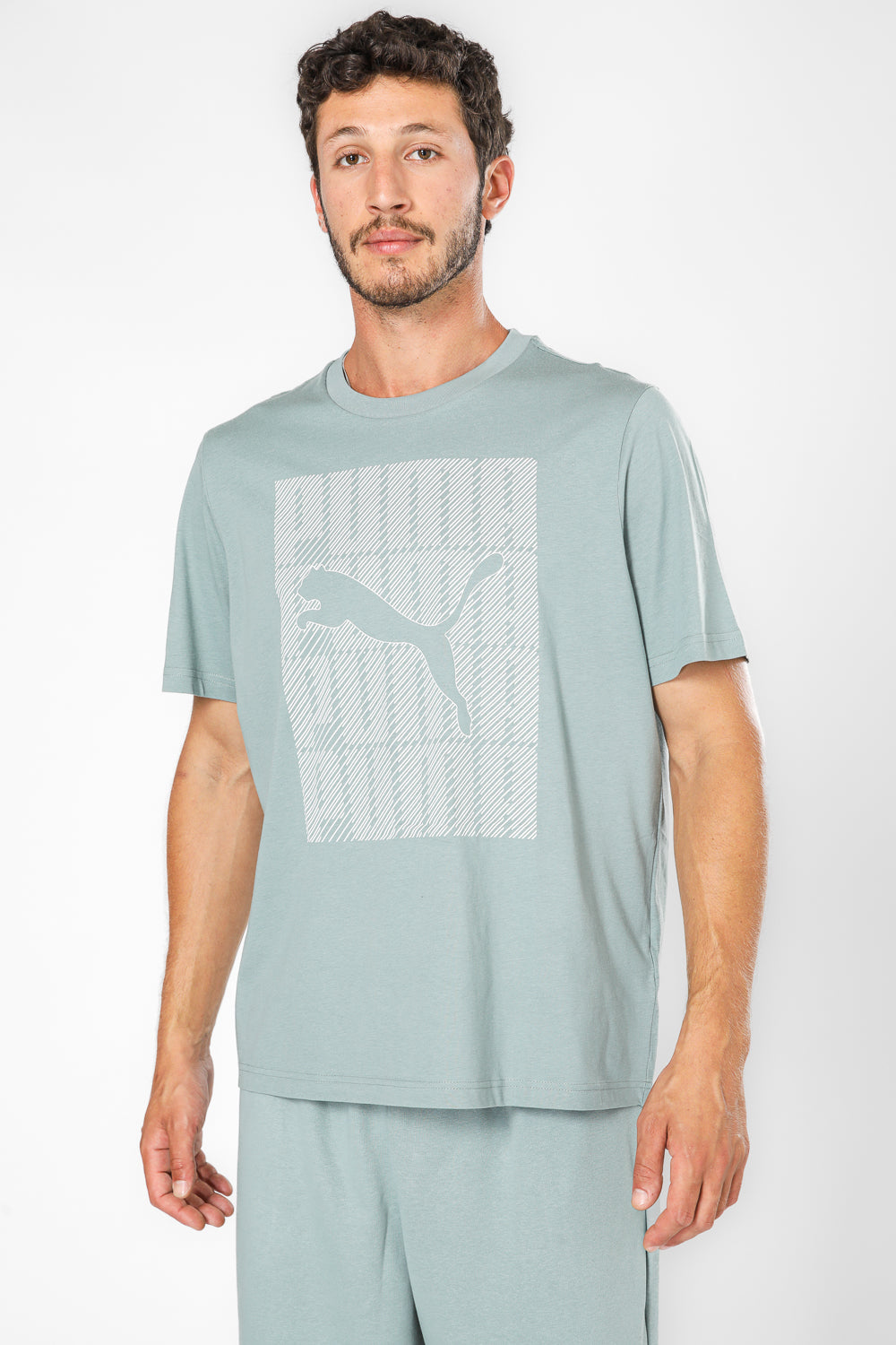 טי שירט GRAPHICS Puma Wordin לגברים