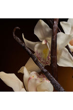 בושם לאישה 75 מ"ל THE ONE E.D.P INTENSE | דולצ'ה וגבאנה