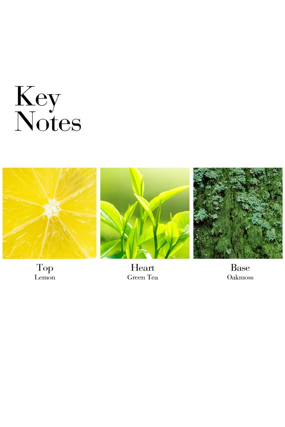 קרם גוף 500 מ"ל GREEN TEA | אליזבת ארדן