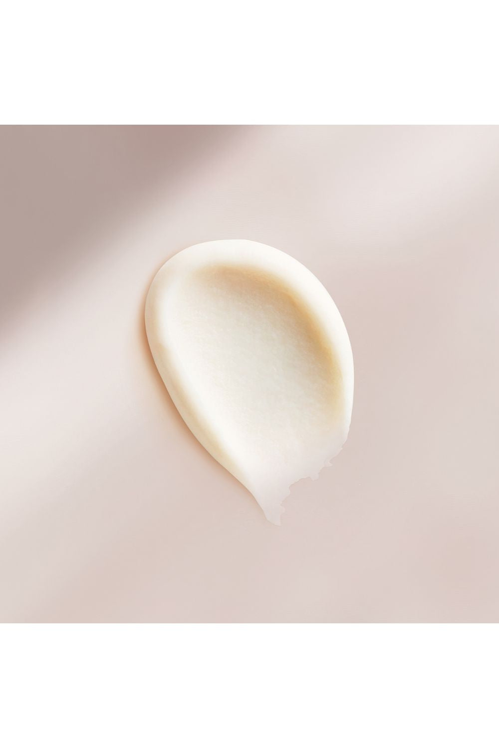 קרם לילה משקם 50 מ"ל 365 | לנקסטר