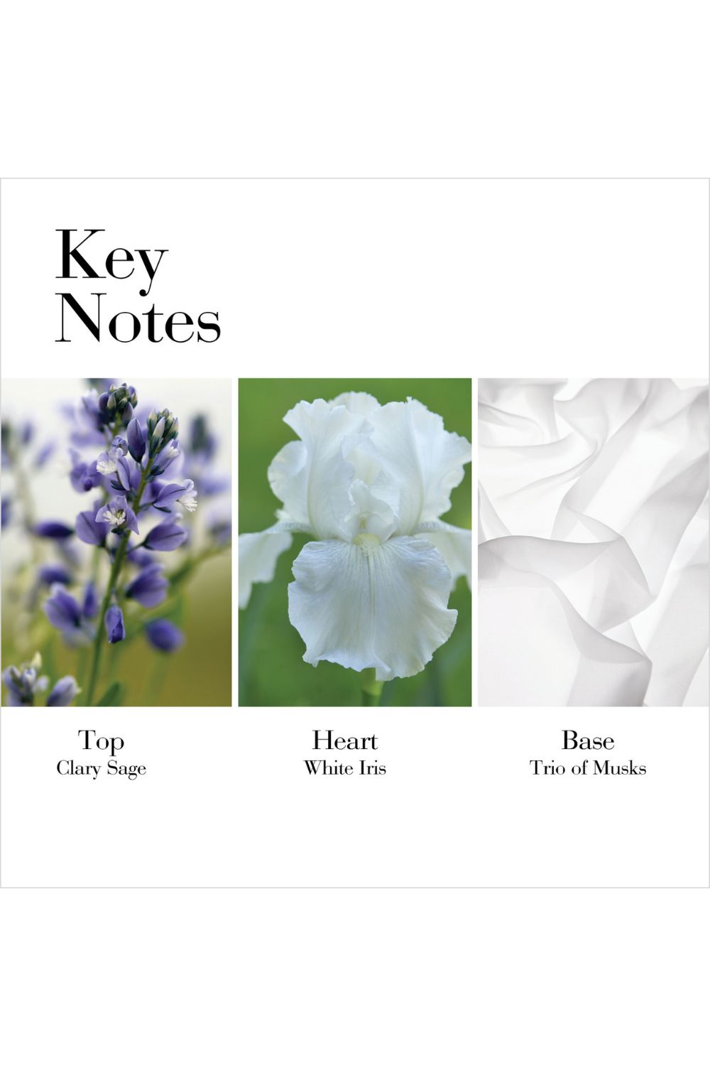 דאודורנט קרם 40 מ"ל | אליזבת ארדן