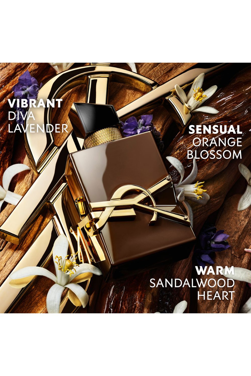 בושם לאישה 50 מ"ל LIBRE SANTAL COUTURE E.D.P | איב סן לורן