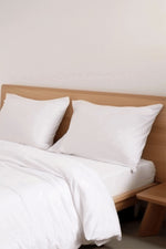 סדין 180/200 ס"מ ג'רסי במבוק כותנה | ריפליי