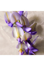 בושם לאישה 60 מ"ל guilty absolu de parfum | גוצ'י