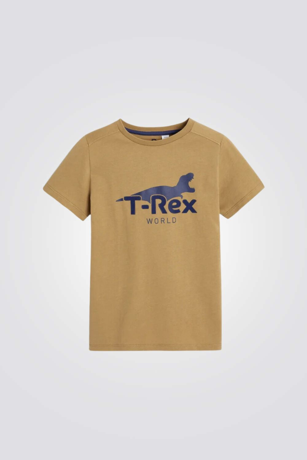 טישירט לילדים בצבע בז' עם הדפס דינוזאור