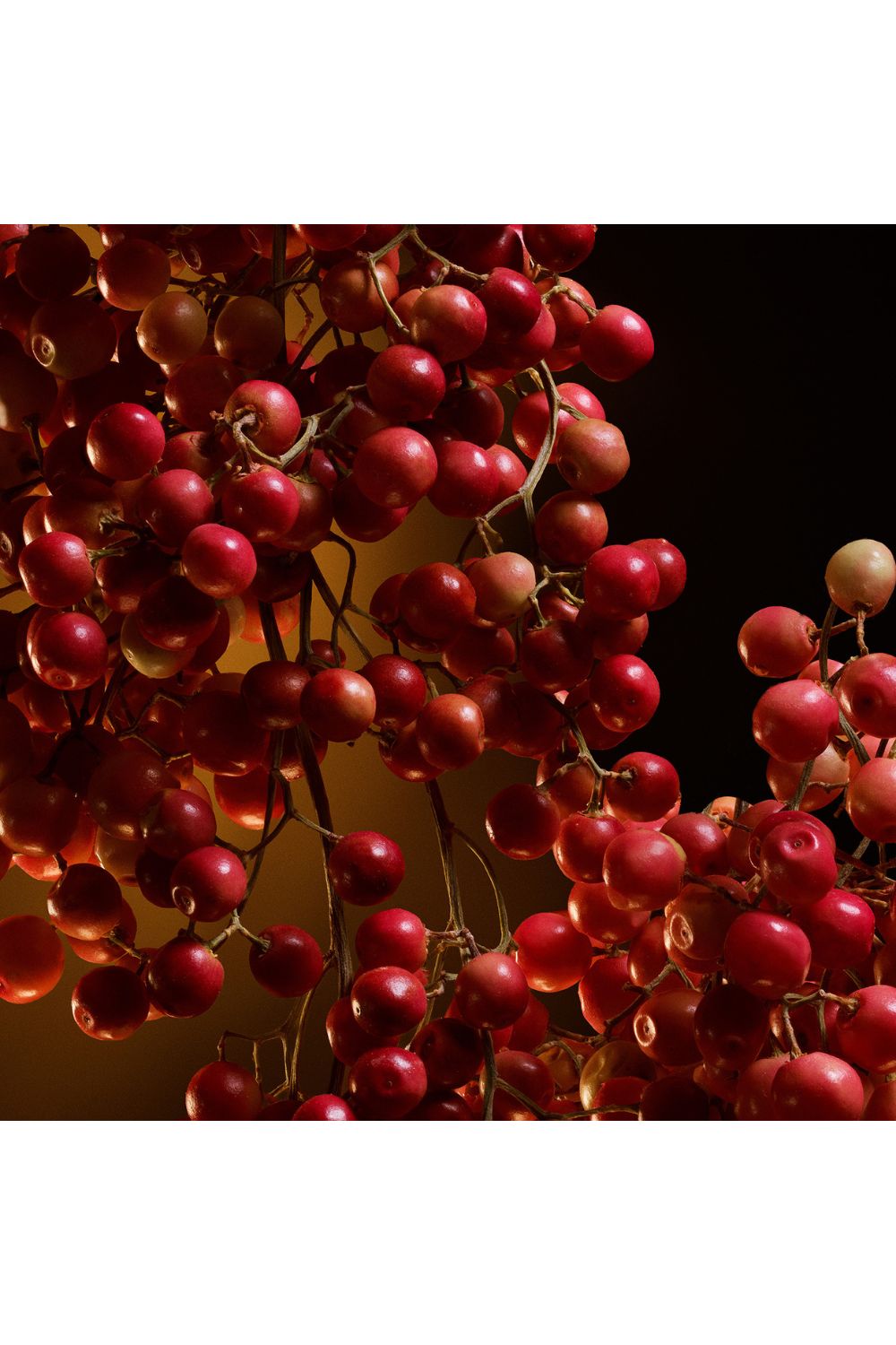 בושם לאישה 75 מ"ל THE ONE E.D.P INTENSE | דולצ'ה וגבאנה