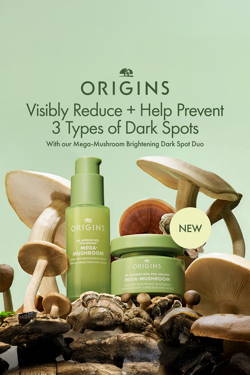 קרם לחות להבהרה ותיקון כתמים כהים בעור 50 מ"ל 