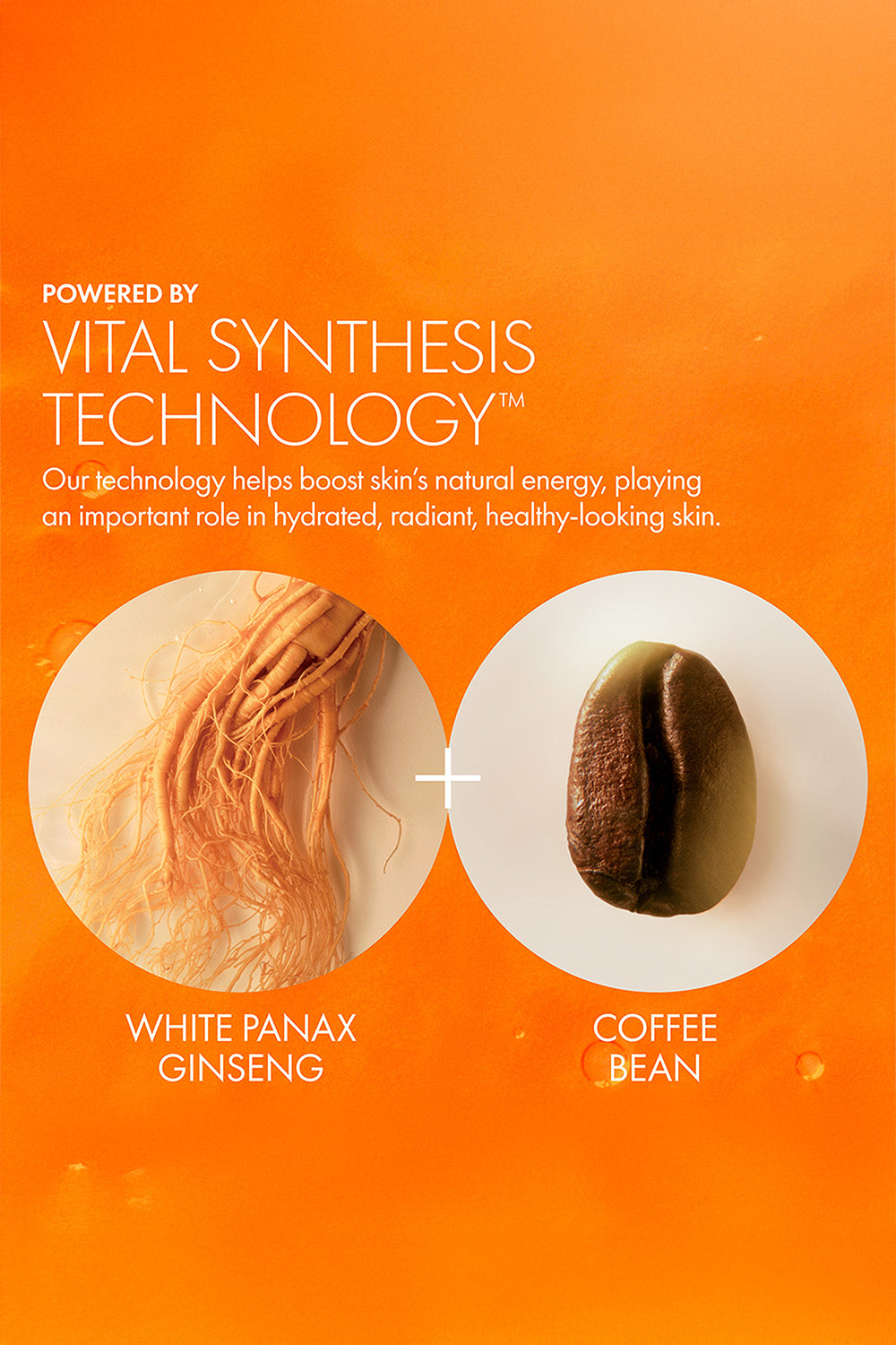 SPF30 קרם לחות בעל מקדם הגנה