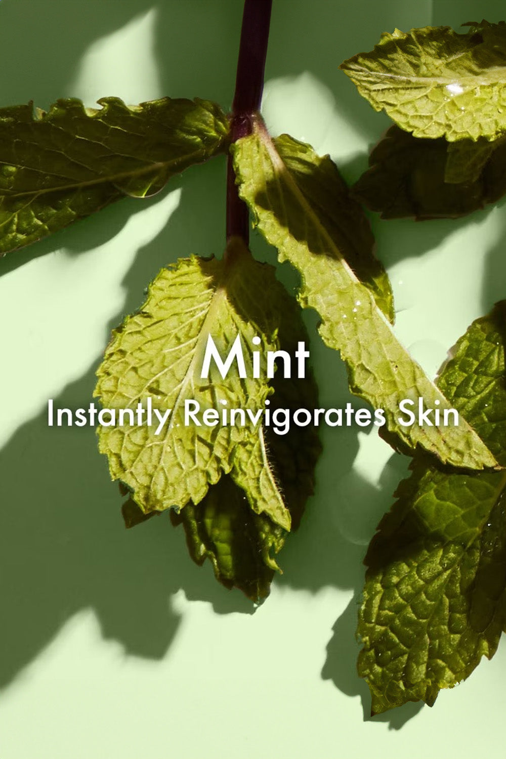 מי פנים לניקוי הנקבוביות 150 מ"ל 