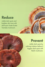 סרום להבהרה ותיקון כתמים כהים בעור