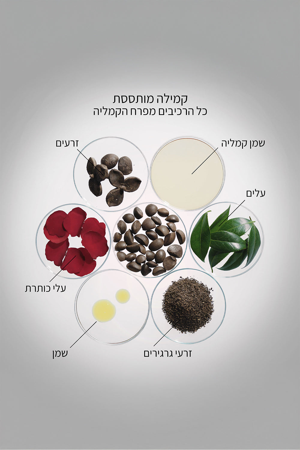 סרום עוצמתי 120 מ"ל ULTIMUNE | שיסיידו