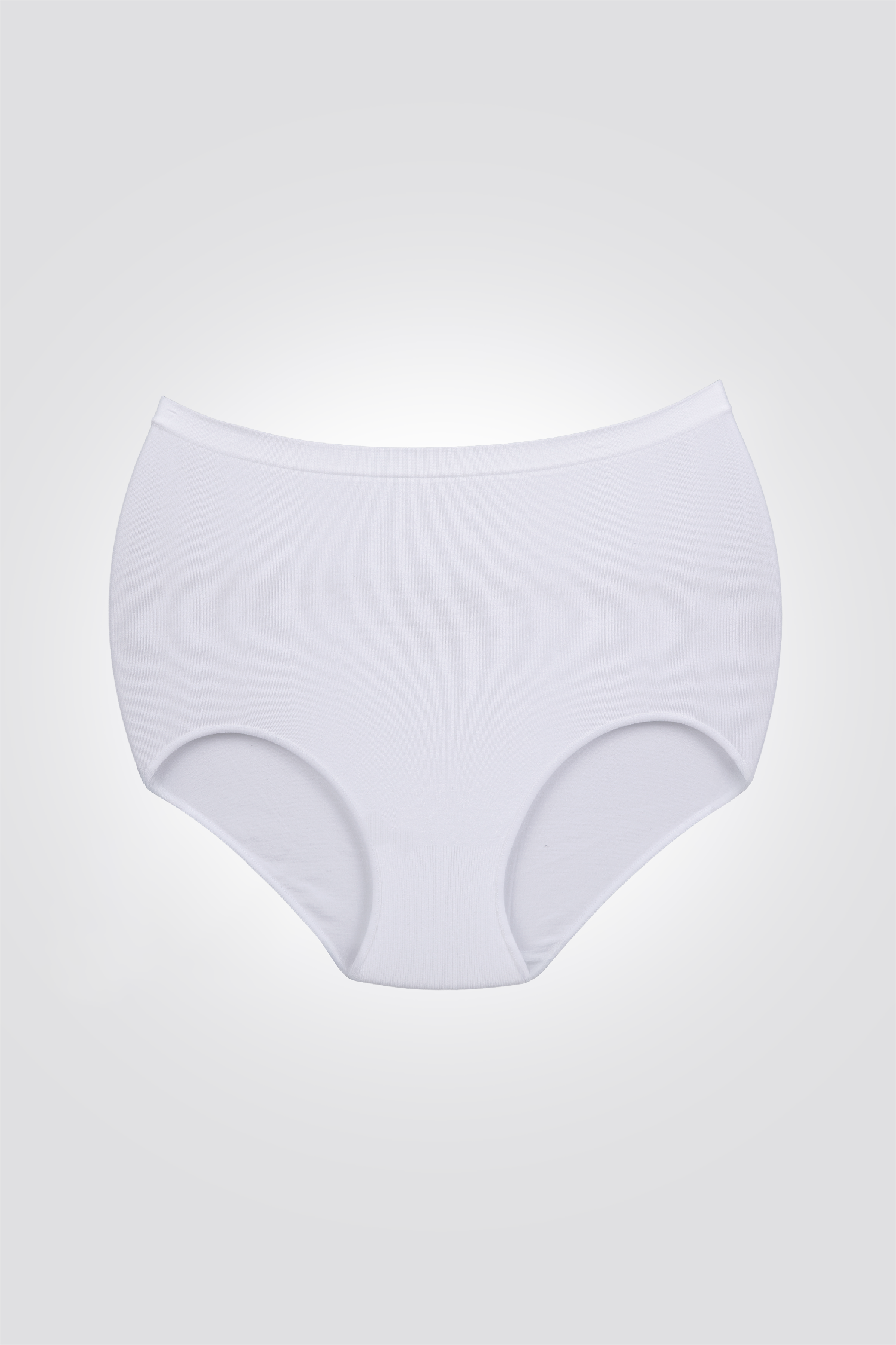 תחתון מקסי ללא תפר | גו אנדר