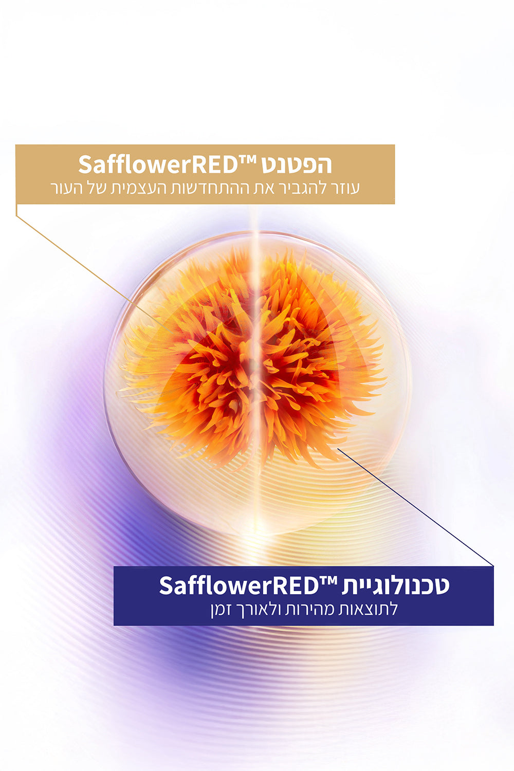 קרם לחות אנטי אייג'ינג 50 מ"ל VITAL PERFECTION