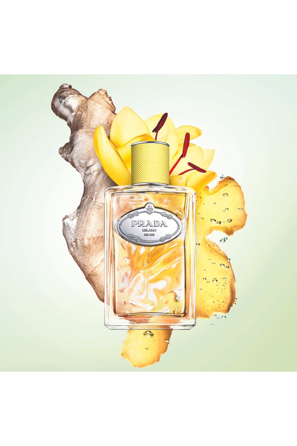 בושם לאישה 100 מ"ל  Infusion de Gingembre E.D.P