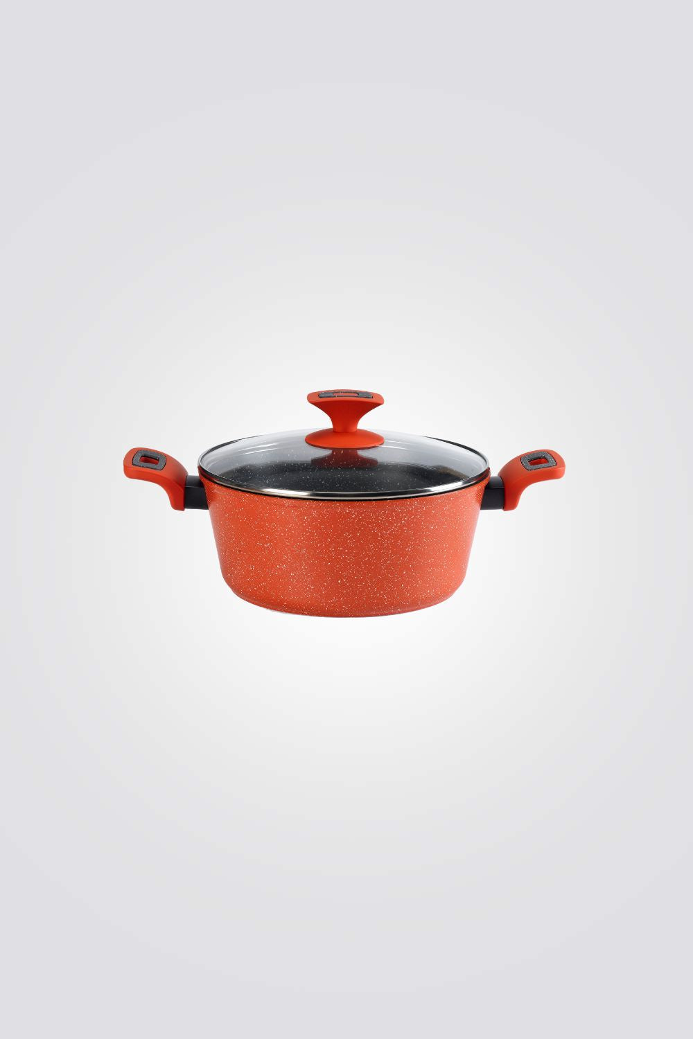 סיר 24 ס"מ SPRING