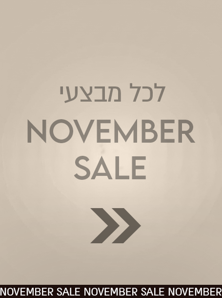 לל מבצעי נובמבר סייל 