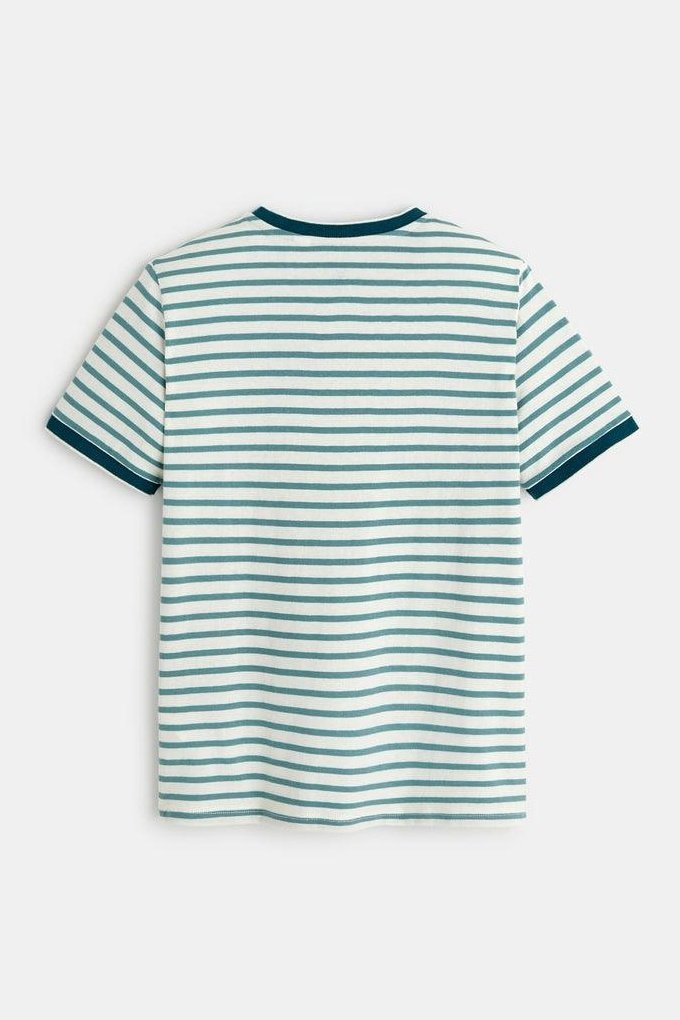טישירט פסים ירוקים קצרה לילדים - MASHBIR//365