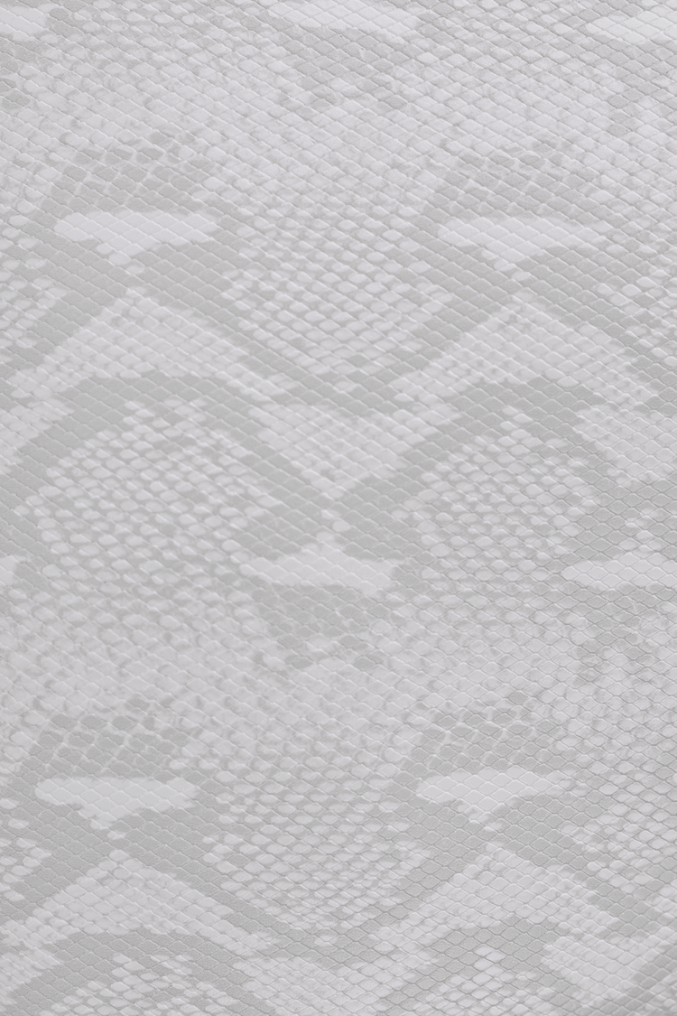 תיק VERONICA - MASHBIR//365