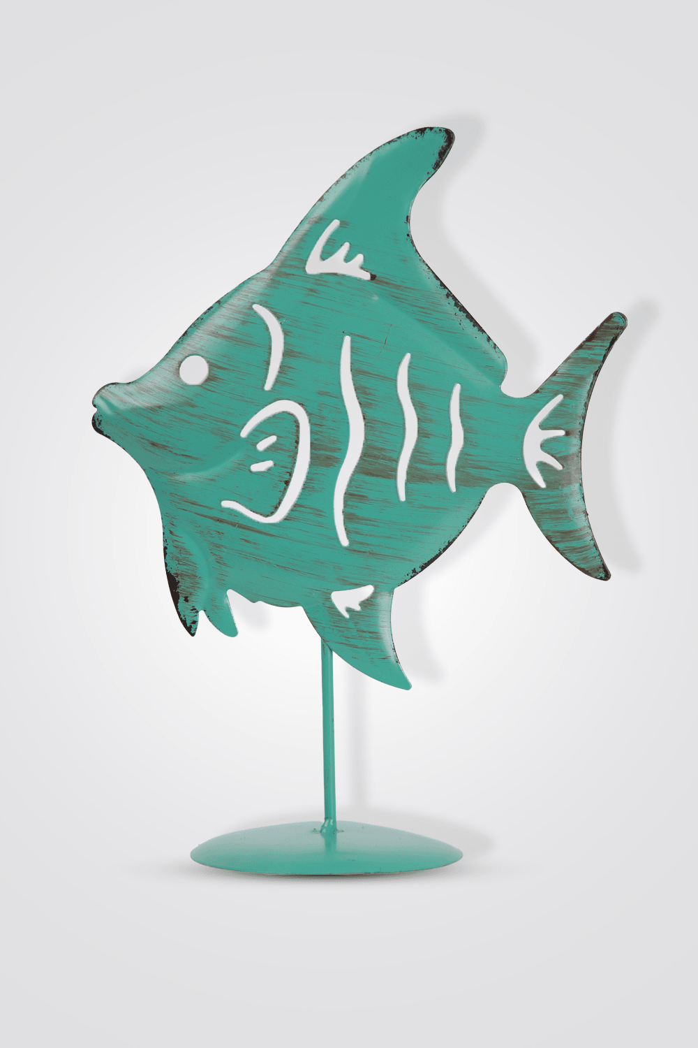 דג נוי טורקיז - MASHBIR//365