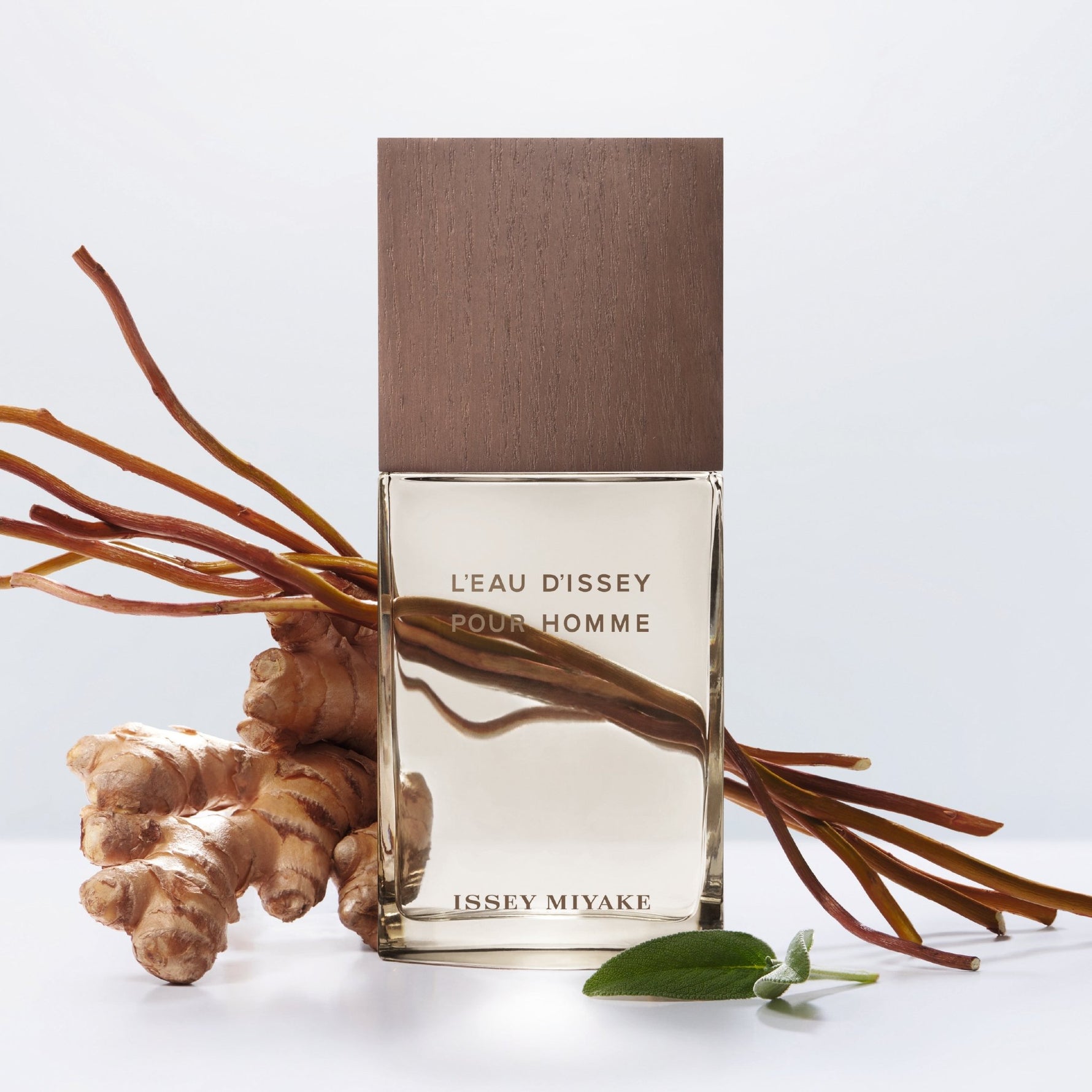 Issey Miyake - בושם לגבר 100 מ"ל EAUX DE MATIERE VETIVER EDT - MASHBIR//365