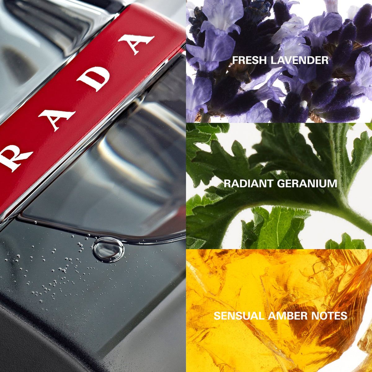 PRADA - CARBON LUNA ROSSA EDT בושם לגבר 100 מ"ל - MASHBIR//365