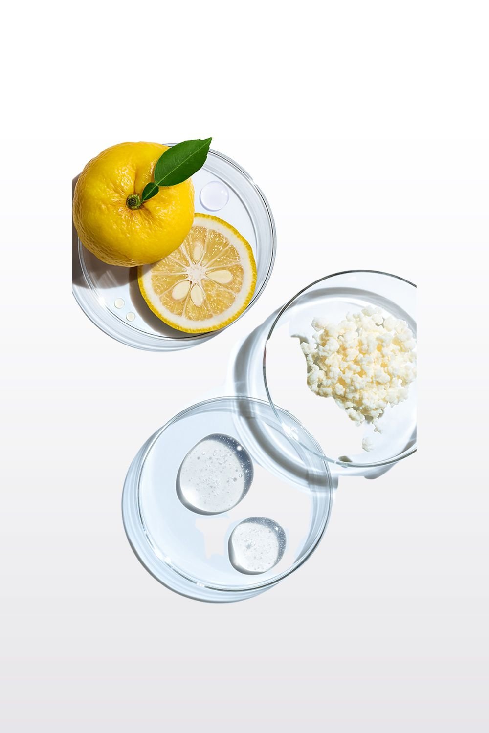 SHISEIDO - EUDERMINE REVITALIZING ESSENCE -תמצית לחידוש והמרצת העור - MASHBIR//365