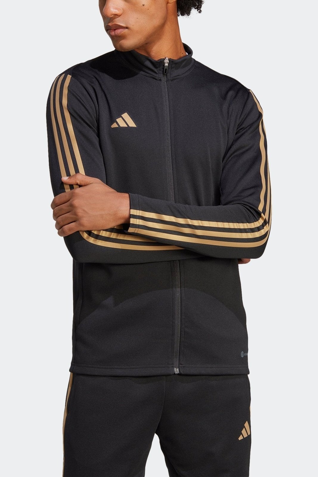 ADIDAS - ג'קט לגברים REFGOLTIRO TR בצבע שחור - MASHBIR//365