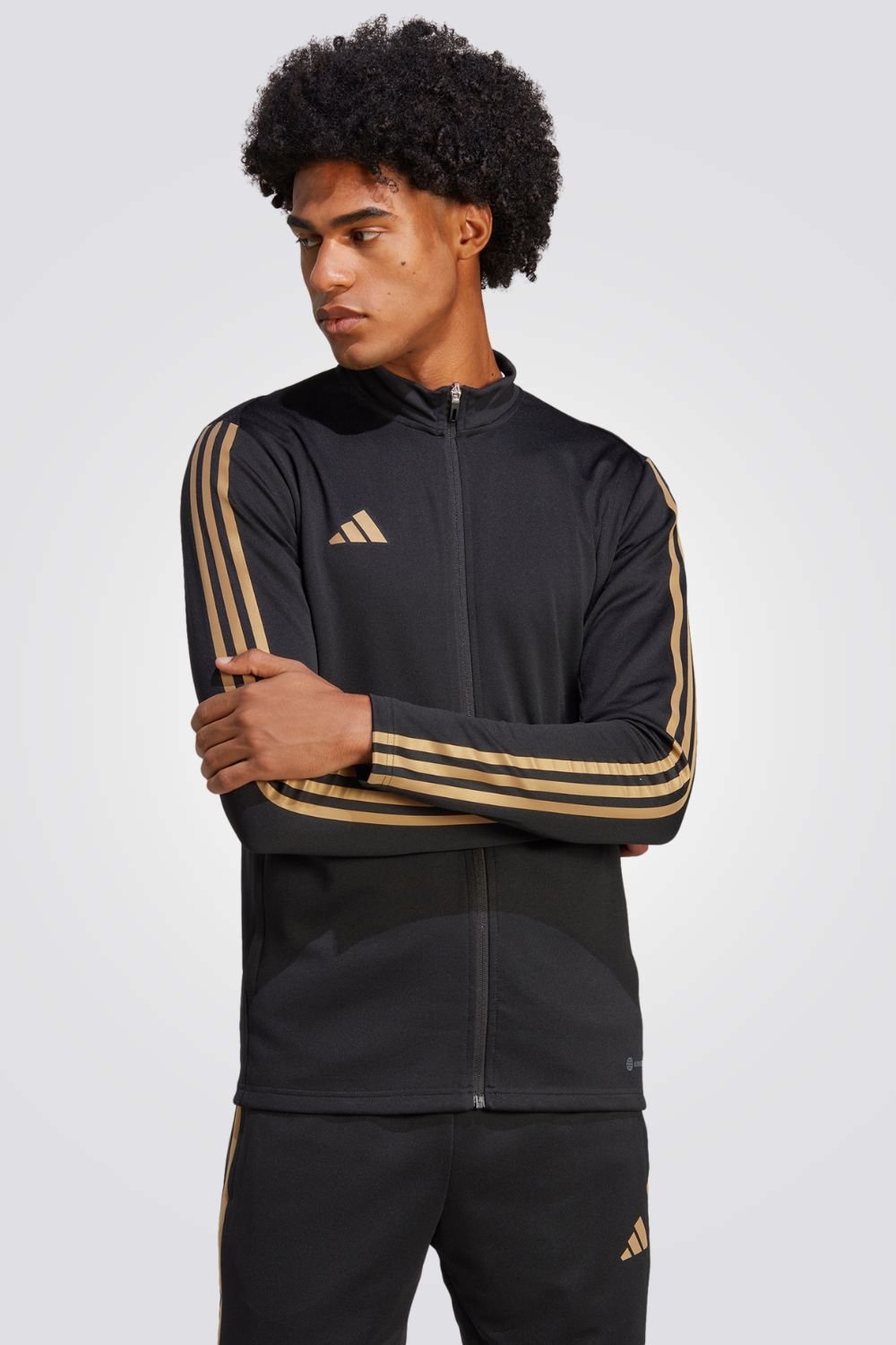 ADIDAS - ג'קט לגברים REFGOLTIRO TR בצבע שחור - MASHBIR//365