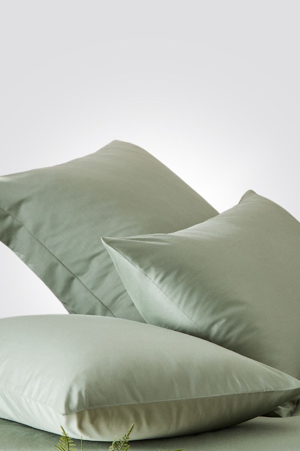 REPLAY - ציפית כותנה במבוק בצבע ירוק אקליפטוס - MASHBIR//365