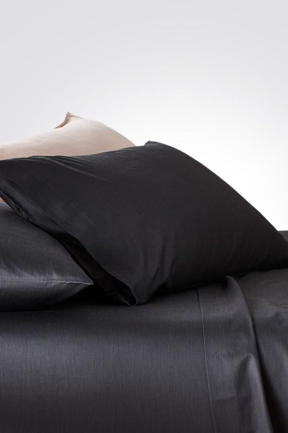 REPLAY - ציפית כותנה במבוק בצבע שחור - MASHBIR//365