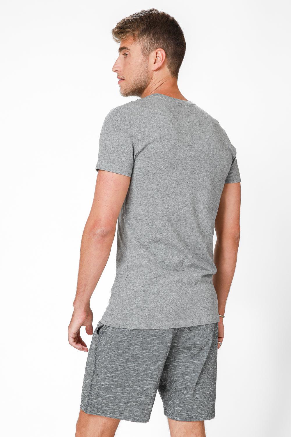 DELTA - טישירט בייסיק סלים צווארון וי בצבע אפור - MASHBIR//365