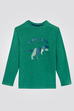OKAIDI - טישירט ילדים שרוול ארוך ירוק עם הדפס דינוזאור כחול - MASHBIR//365