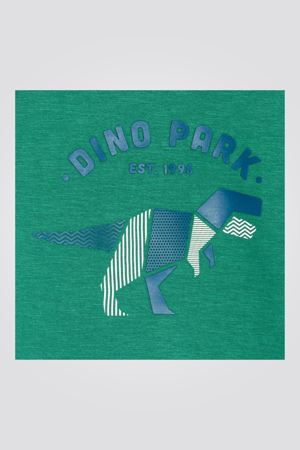 OKAIDI - טישירט ילדים שרוול ארוך ירוק עם הדפס דינוזאור כחול - MASHBIR//365