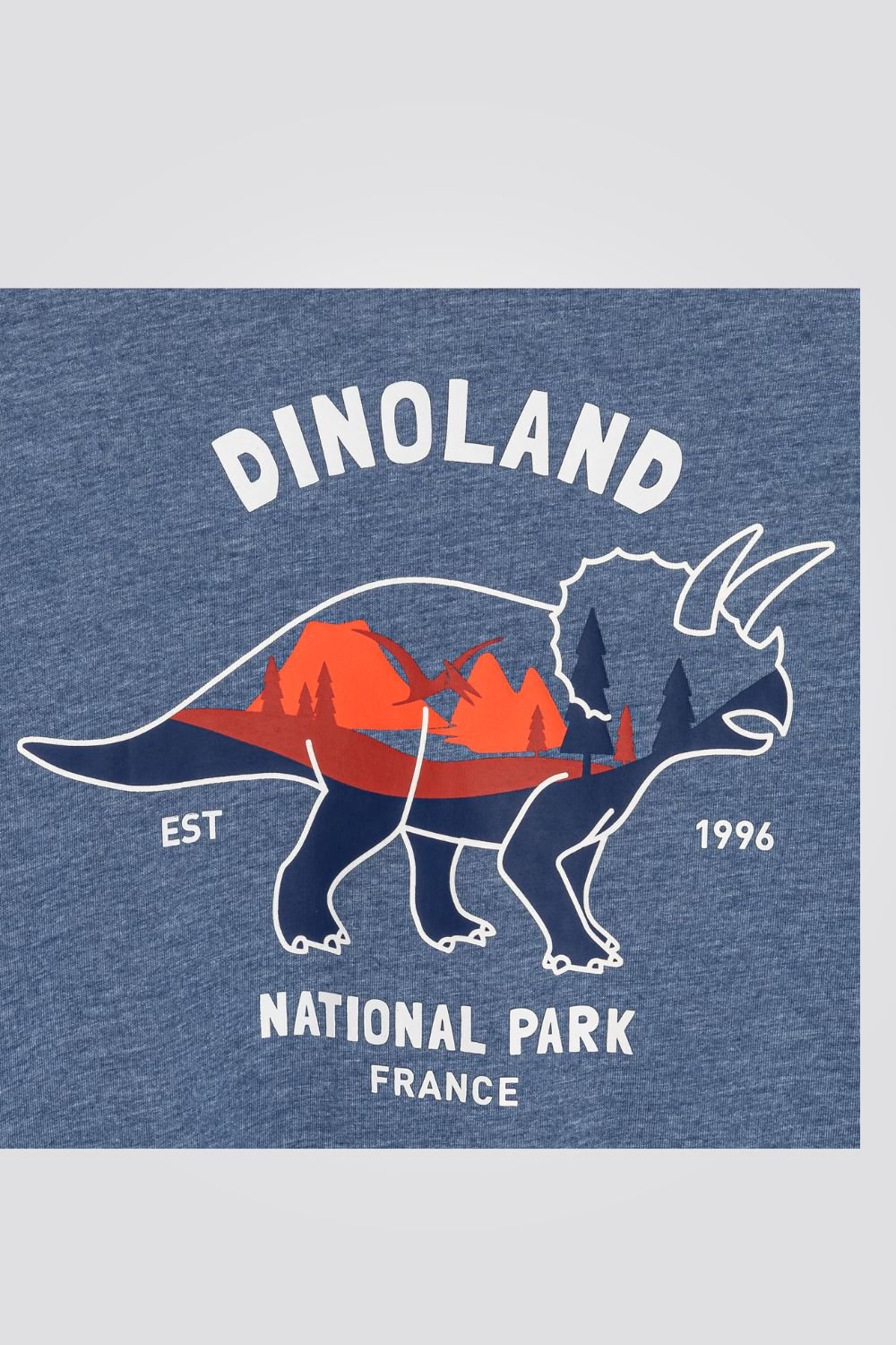 OKAIDI - טישירט ילדים שרוול ארוך כחול מלאנג' עם הדפס קרנף בכתום - MASHBIR//365