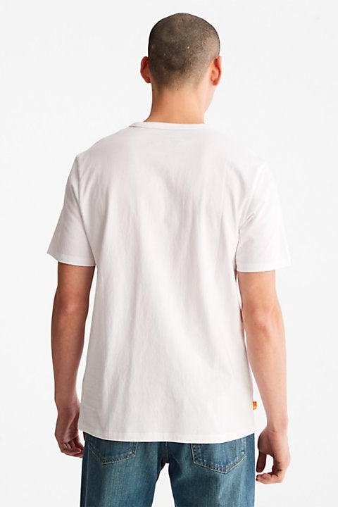 TIMBERLAND - טישירט קצרה בצבע לבן עם כיתוב לוגו - MASHBIR//365