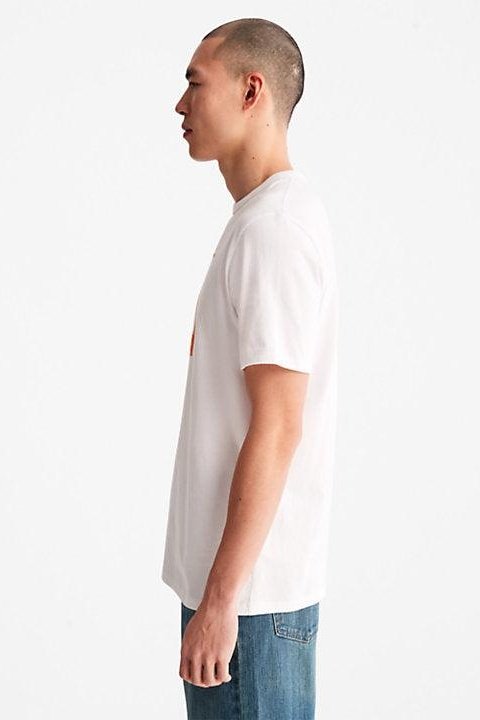 TIMBERLAND - טישירט קצרה בצבע לבן עם כיתוב לוגו - MASHBIR//365