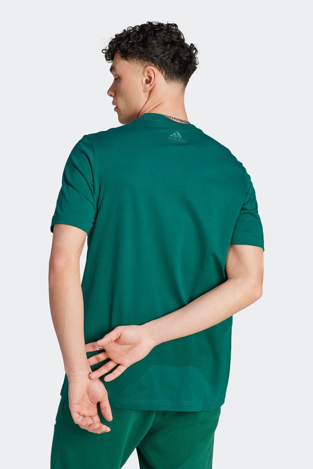 ADIDAS - טישירט לגברים LINEAR EMBROIDERED בצבע ירוק - MASHBIR//365