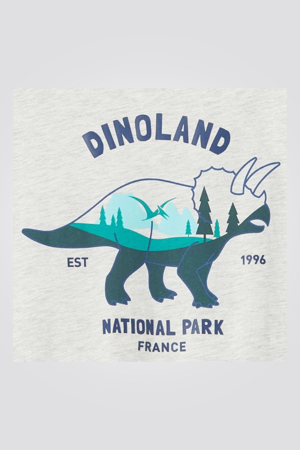 OKAIDI - טישירט שרוול ארוך ילדים אפור מלאנג' עם הדפס קרנף בירוק - MASHBIR//365