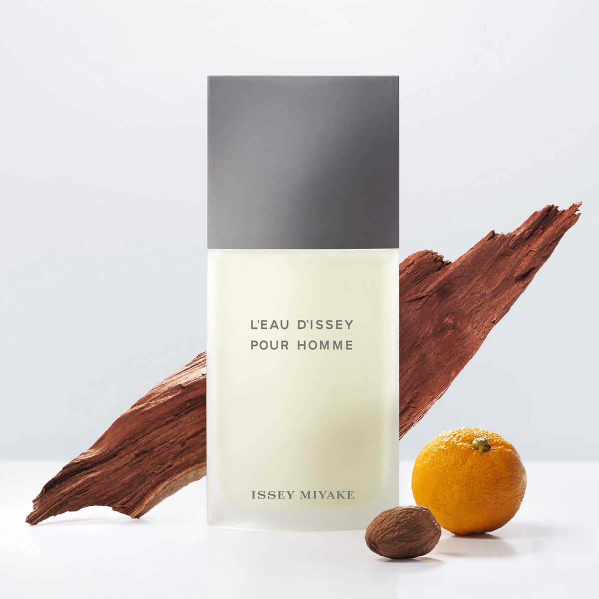 Issey Miyake - L'EAU D'ISSEY EDT בושם לגבר 200 מ"ל - MASHBIR//365