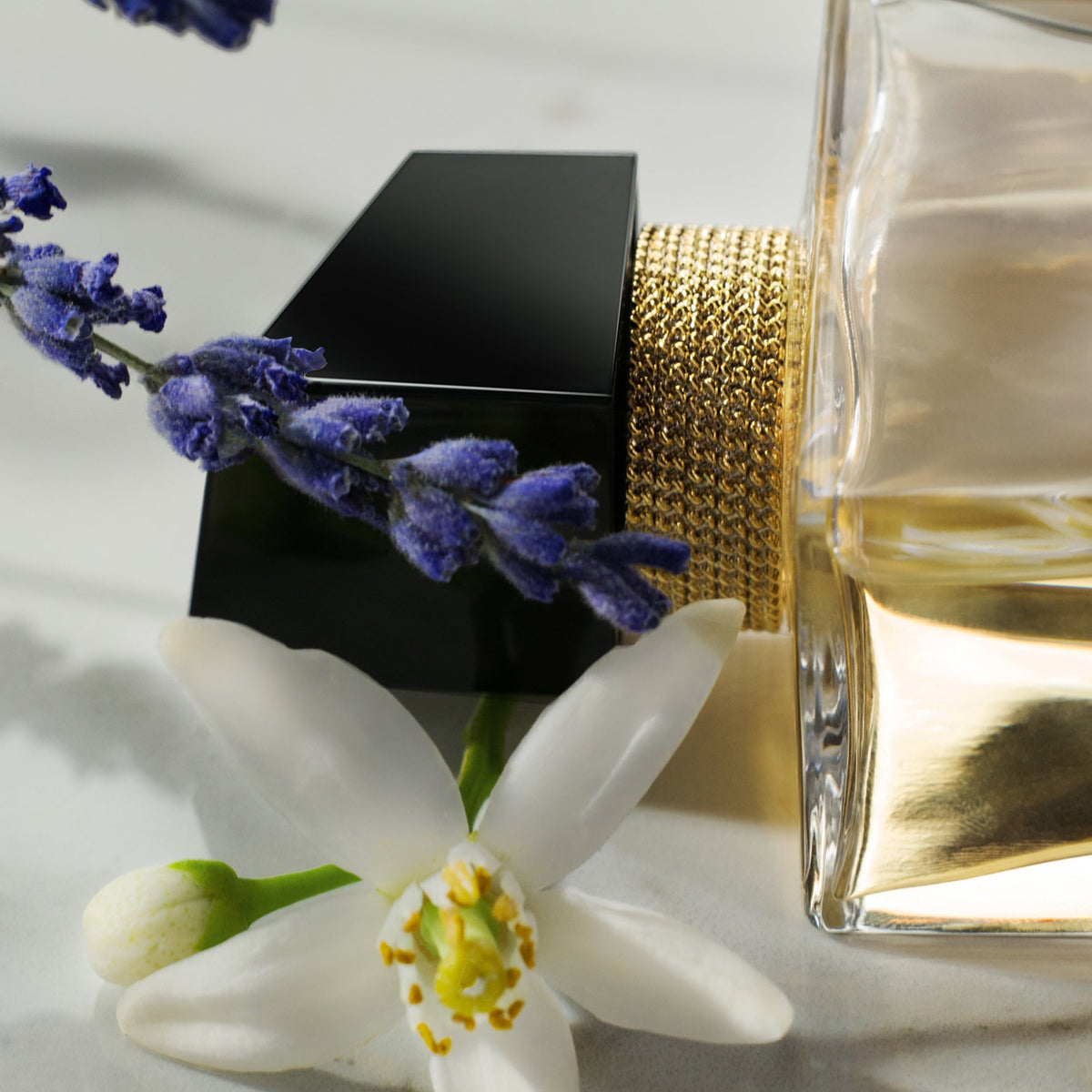 Yves Saint Laurent - Libre EDP בושם לאשה 90 מ"ל - MASHBIR//365