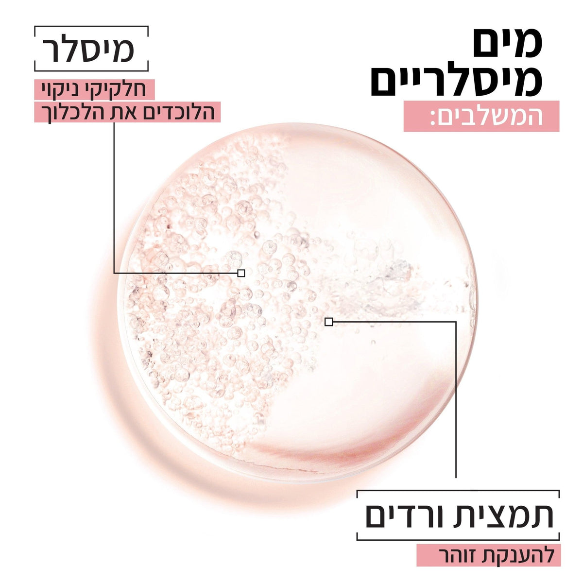 Garnier - מים מיסלרים עם מי ורדים 400 מ"ל - MASHBIR//365